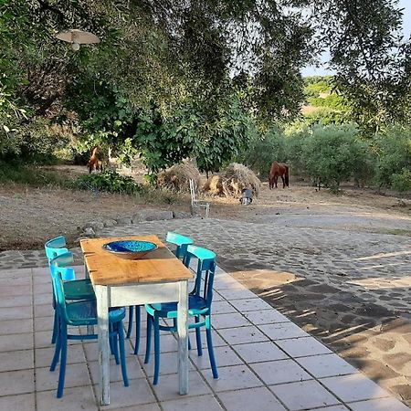 Sa Ruscitta Bed & Breakfast SantʼAntìoco Eksteriør bilde
