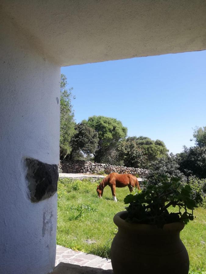 Sa Ruscitta Bed & Breakfast SantʼAntìoco Eksteriør bilde