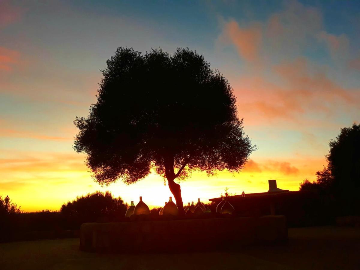 Sa Ruscitta Bed & Breakfast SantʼAntìoco Eksteriør bilde