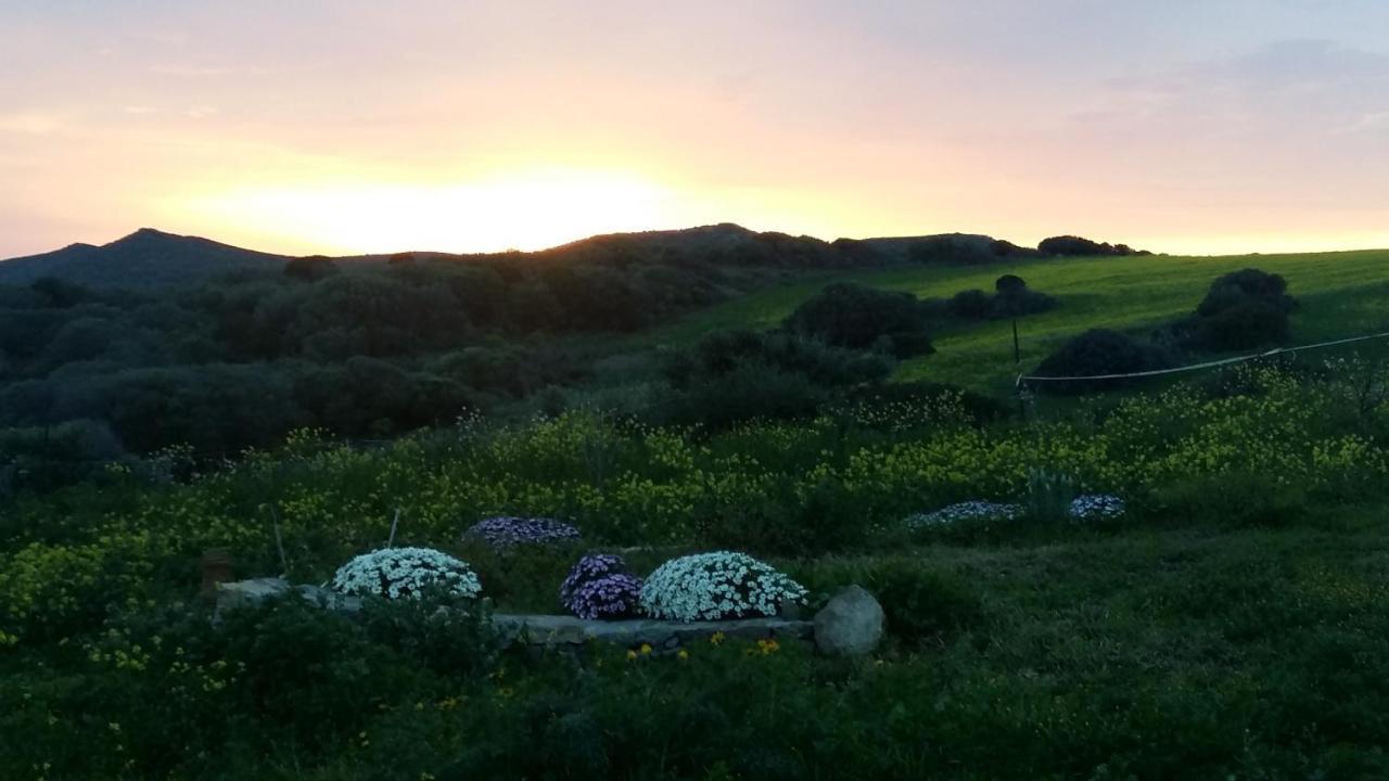 Sa Ruscitta Bed & Breakfast SantʼAntìoco Eksteriør bilde
