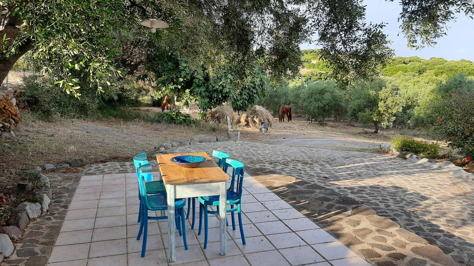 Sa Ruscitta Bed & Breakfast SantʼAntìoco Eksteriør bilde
